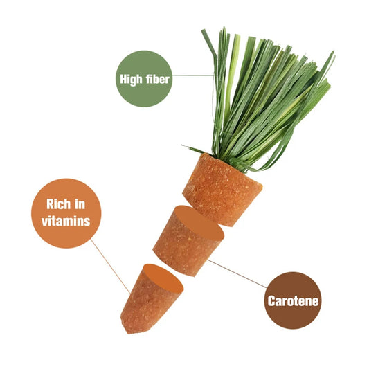 3Pcs/Bag Small Animal Hamster Treats Rabbit Chew Carrots Snack Natural Nutritious Molar Toys for Guinea Turkey Pigs Pet Supplies