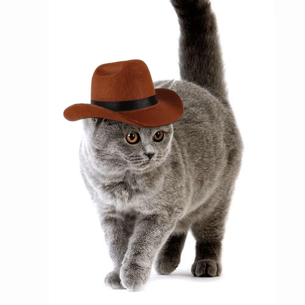 2024 New Dog Cowboy Hat Dogs Cat Outdoor Hats Adjustable Caps Fashion for Small Medium Dogs Cats Headwear Pet Accessories
