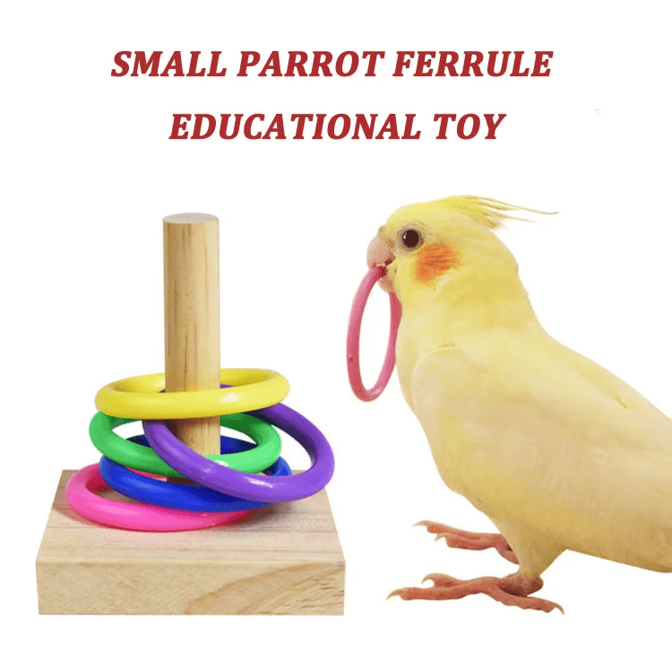 Bird Training Toys Set Wooden Block Puzzle Toys for Parrots Colorful Plastic Rings Intelligence Training Chew Toy Bird Supplies