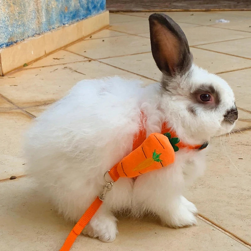 Walking Bunny Guinea Pig Harness for Small Animals Cute Pet Rabbit Harnesses and Leash Set Chinchilla Pigs Mascotas Accessories
