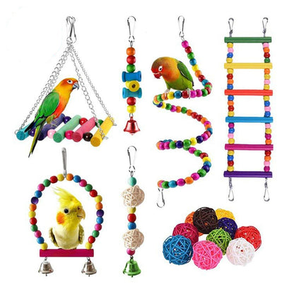 Funky Toys For Your Funky Parrot