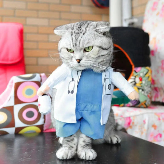 Dr. Meowstein, Purr-scription Pawfessional