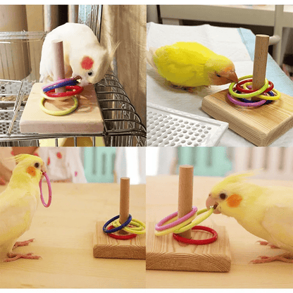 Bird Training Toys Set Wooden Block Puzzle Toys for Parrots Colorful Plastic Rings Intelligence Training Chew Toy Bird Supplies